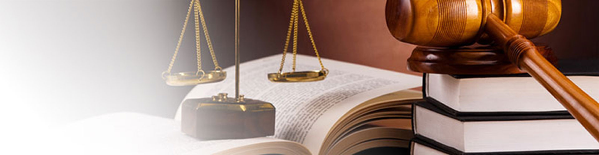 area-judicial-banner